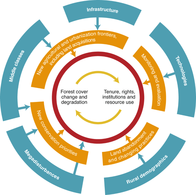 Forest-Based Livelihood